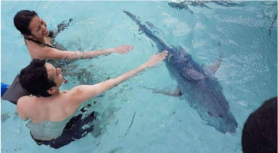 Island Drop Off & Water Taxi